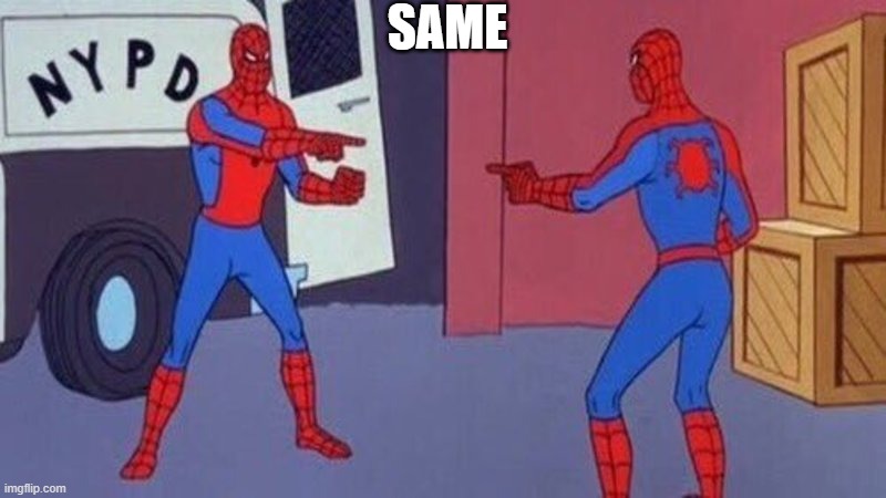 spiderman pointing at spiderman | SAME | image tagged in spiderman pointing at spiderman | made w/ Imgflip meme maker