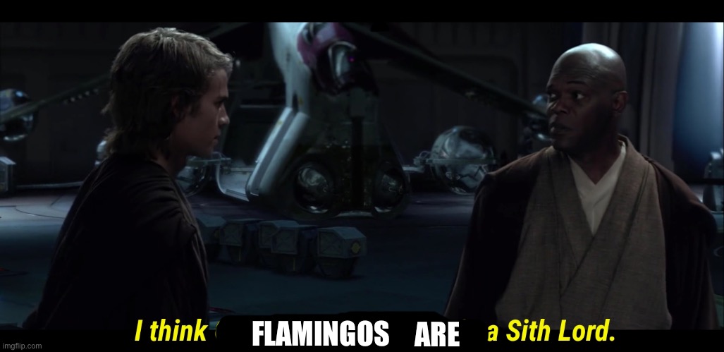 I think Chancellor Palpatine is a sith lord | FLAMINGOS ARE | image tagged in i think chancellor palpatine is a sith lord | made w/ Imgflip meme maker