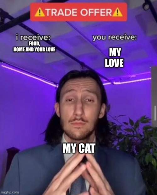 my cat | FOOD,
HOME AND YOUR LOVE; MY LOVE; MY CAT | image tagged in i receive you receive | made w/ Imgflip meme maker
