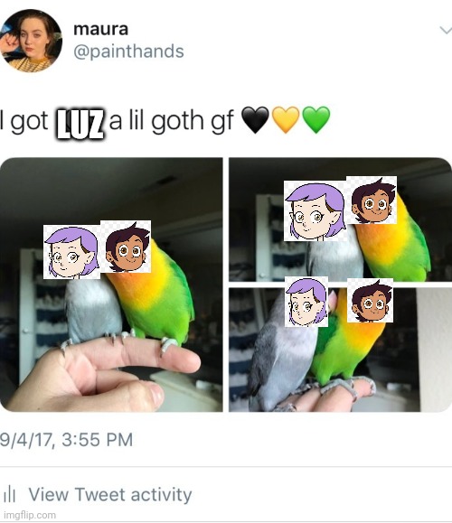 I remembered this tweet and thought this worked perfectly | LUZ | image tagged in kiwi's goth gf | made w/ Imgflip meme maker