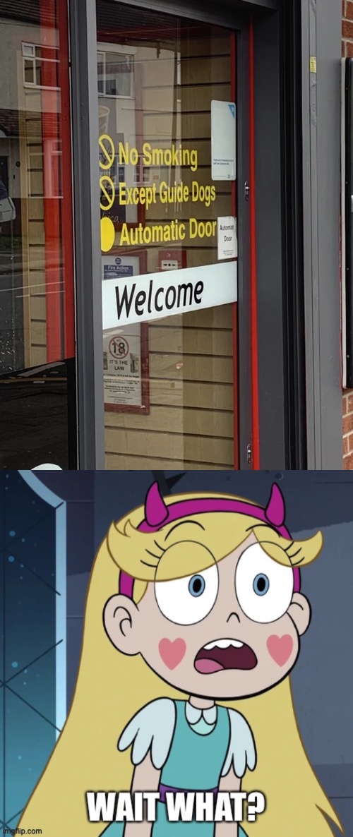 So the Guide Dogs get to smoke? | image tagged in star butterfly wait what,you had one job,star vs the forces of evil,memes | made w/ Imgflip meme maker