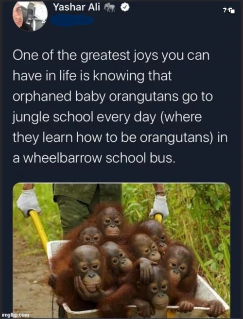 image tagged in wholesome | made w/ Imgflip meme maker