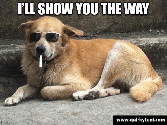 Smoking | I’LL SHOW YOU THE WAY | image tagged in smoking dog,dog,guide | made w/ Imgflip meme maker