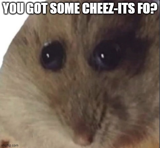 I like cheez-its | YOU GOT SOME CHEEZ-ITS FO? | image tagged in hampter | made w/ Imgflip meme maker