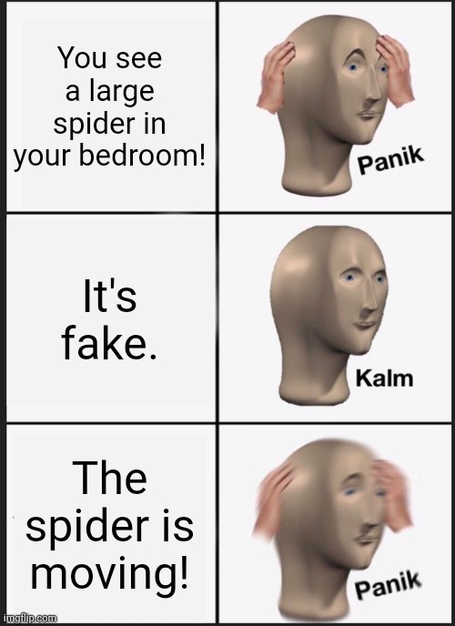 spider ? | You see a large spider in your bedroom! It's fake. The spider is moving! | image tagged in memes,panik kalm panik | made w/ Imgflip meme maker