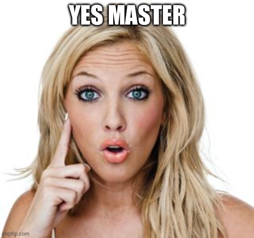 Dumb blonde | YES MASTER | image tagged in dumb blonde | made w/ Imgflip meme maker