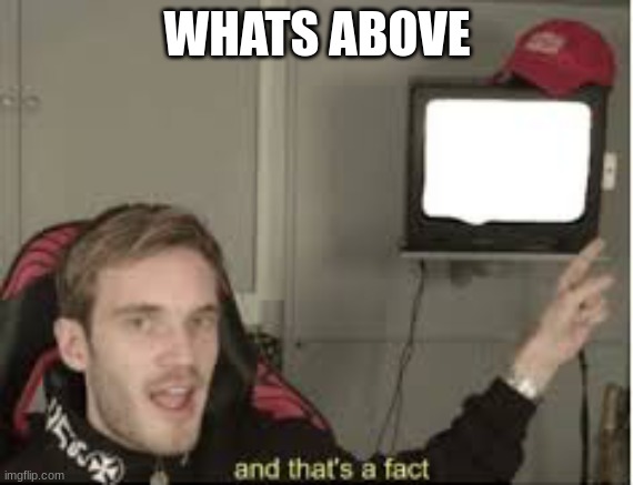 And thats a fact | WHATS ABOVE | image tagged in and thats a fact | made w/ Imgflip meme maker