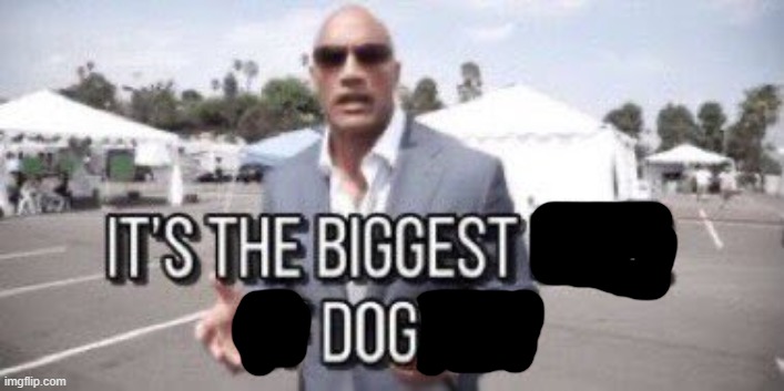 it's the biggest piece of dogshit | image tagged in it's the biggest piece of dogshit | made w/ Imgflip meme maker