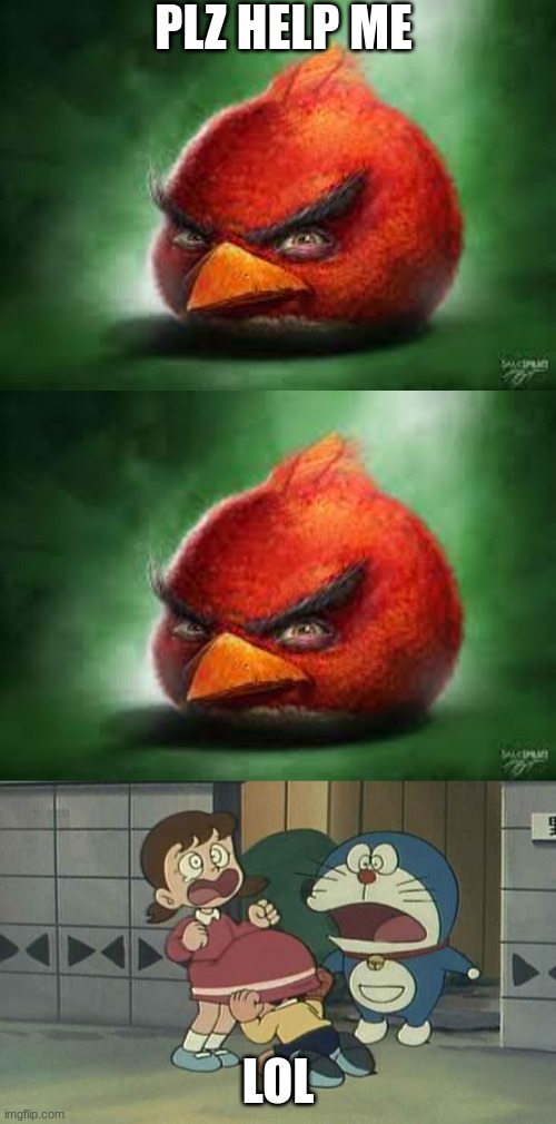 PLZ HELP ME; LOL | image tagged in realistic red angry birds,doraemon polln | made w/ Imgflip meme maker