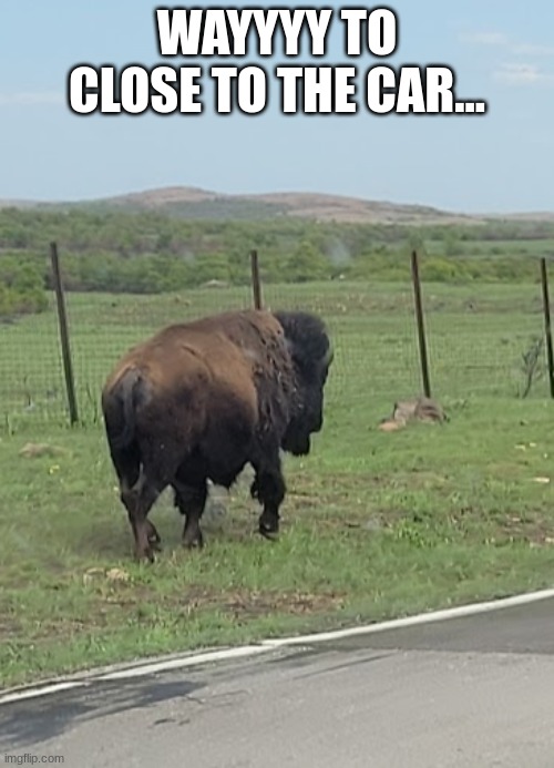 WAYYYY TO CLOSE TO THE CAR... | made w/ Imgflip meme maker