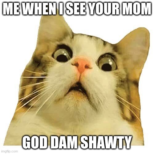 im using random tags btw | ME WHEN I SEE YOUR MOM; GOD DAM SHAWTY | image tagged in sheesh | made w/ Imgflip meme maker