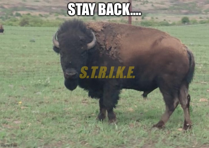STAY BACK.... S.T.R.I.K.E. | made w/ Imgflip meme maker