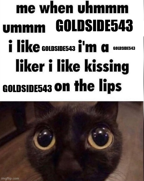 He hawt ngl | GOLDSIDE543; GOLDSIDE543; GOLDSIDE543; GOLDSIDE543 | image tagged in goldside543 | made w/ Imgflip meme maker