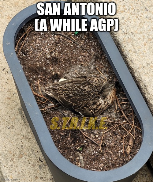 *ago | SAN ANTONIO (A WHILE AGP); S.T.R.I.K.E. | made w/ Imgflip meme maker