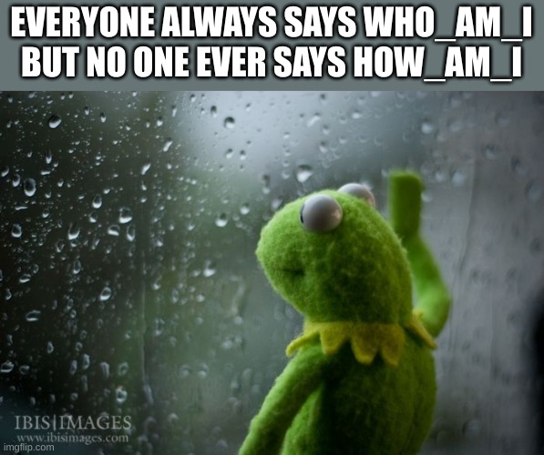 sad | EVERYONE ALWAYS SAYS WHO_AM_I
BUT NO ONE EVER SAYS HOW_AM_I | image tagged in kermit window | made w/ Imgflip meme maker