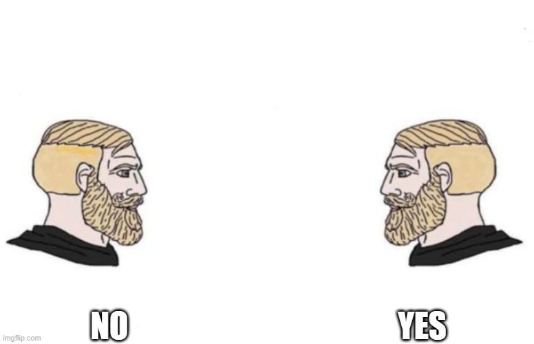 Double Yes Chad | NO YES | image tagged in double yes chad | made w/ Imgflip meme maker