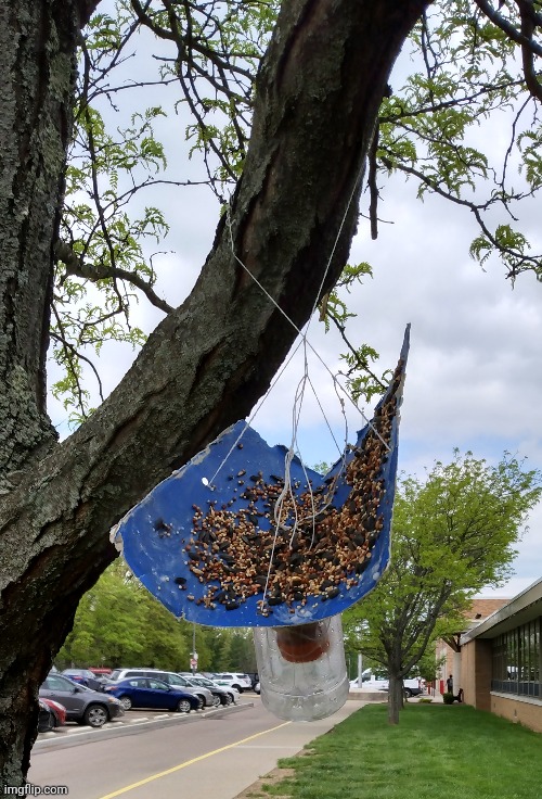 A bird feeder I made for my bio class | made w/ Imgflip meme maker