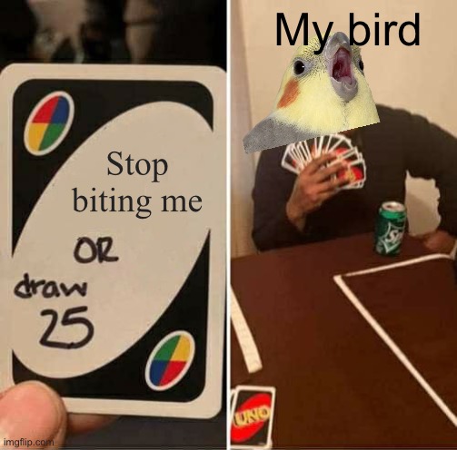 Can any bird owners relate? | My bird; Stop biting me | image tagged in memes,uno draw 25 cards | made w/ Imgflip meme maker