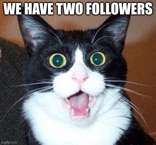 WHOA | WE HAVE TWO FOLLOWERS | image tagged in whoa | made w/ Imgflip meme maker