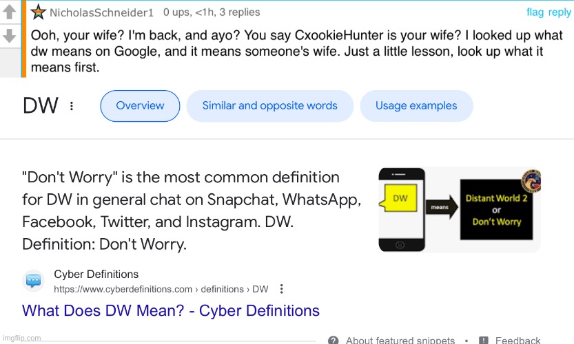 Bro searched up “does dw mean wife” lmao | made w/ Imgflip meme maker