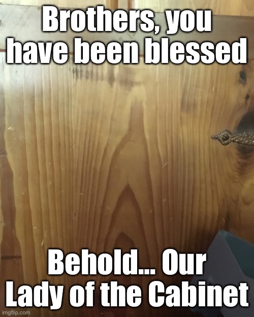 Either she has appeared to me, or Iam seeing things | Brothers, you have been blessed; Behold… Our Lady of the Cabinet | image tagged in holy,virgin,mary | made w/ Imgflip meme maker