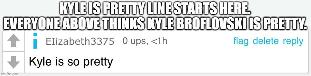 Kyle is so pretty | KYLE IS PRETTY LINE STARTS HERE. EVERYONE ABOVE THINKS KYLE BROFLOVSKI IS PRETTY. | image tagged in kyle is so pretty | made w/ Imgflip meme maker