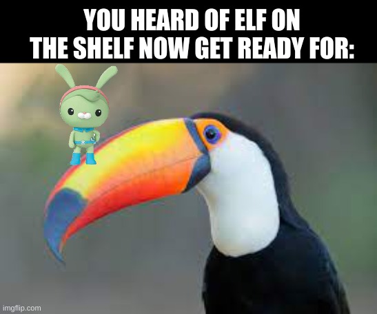 for all you sped ed mfs who dont know, its tweak on the beak | YOU HEARD OF ELF ON THE SHELF NOW GET READY FOR: | made w/ Imgflip meme maker