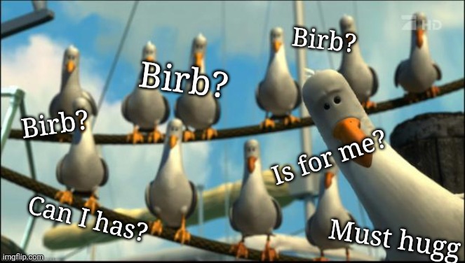 Nemo Seagulls Mine | Birb? Birb? Is for me? Birb? Can I has? Must hugg | image tagged in nemo seagulls mine | made w/ Imgflip meme maker
