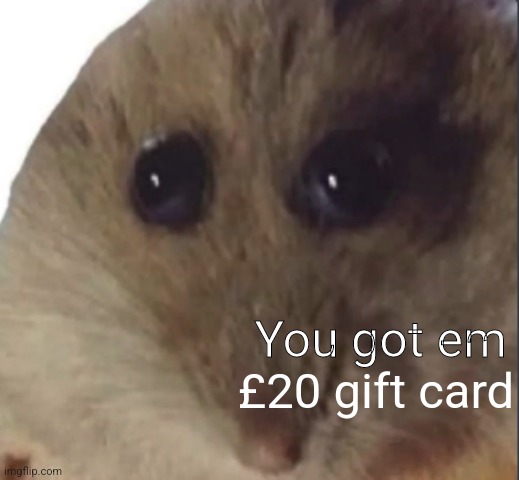 Hampter | You got em £20 gift card | image tagged in hampter | made w/ Imgflip meme maker