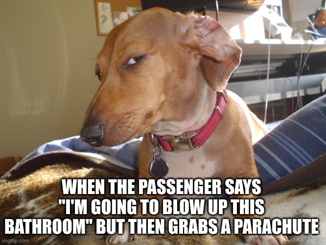 Hm | WHEN THE PASSENGER SAYS "I'M GOING TO BLOW UP THIS BATHROOM" BUT THEN GRABS A PARACHUTE | image tagged in suspicious dog,hmm | made w/ Imgflip meme maker