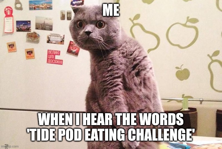 Tide pod eating challenge is by far the most stupid idea ever devised | ME; WHEN I HEAR THE WORDS 'TIDE POD EATING CHALLENGE' | made w/ Imgflip meme maker