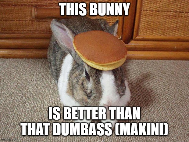 Bunny Pancake | THIS BUNNY; IS BETTER THAN THAT DUMBASS (MAKINI) | image tagged in bunny pancake | made w/ Imgflip meme maker