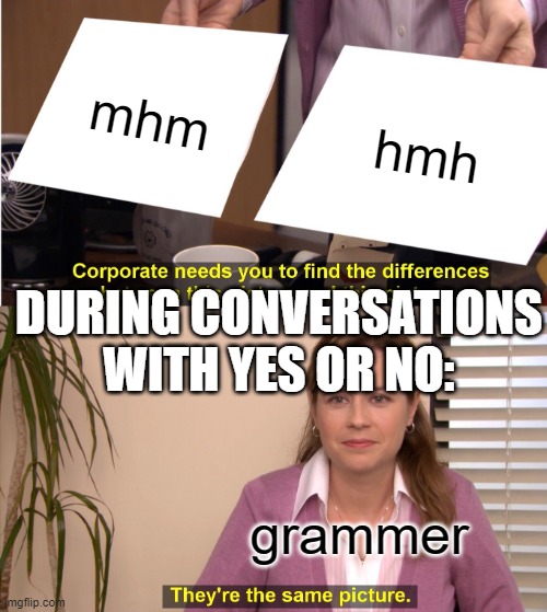 They're The Same Picture Meme | mhm; hmh; DURING CONVERSATIONS WITH YES OR NO:; grammer | image tagged in memes,they're the same picture | made w/ Imgflip meme maker