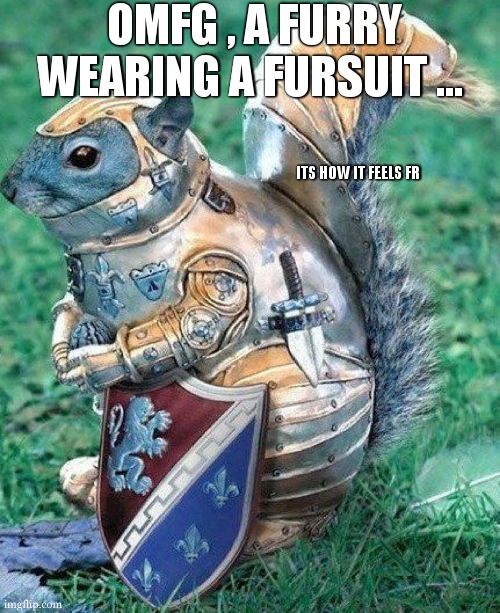 pov..... something | OMFG , A FURRY WEARING A FURSUIT ... ITS HOW IT FEELS FR | image tagged in armor squirrel,furry,squirrel,knight armor,relatable | made w/ Imgflip meme maker