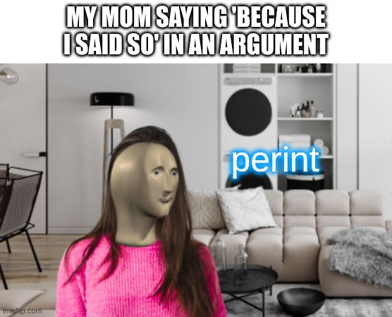 perint | MY MOM SAYING 'BECAUSE I SAID SO' IN AN ARGUMENT; perint | image tagged in perint,memes | made w/ Imgflip meme maker