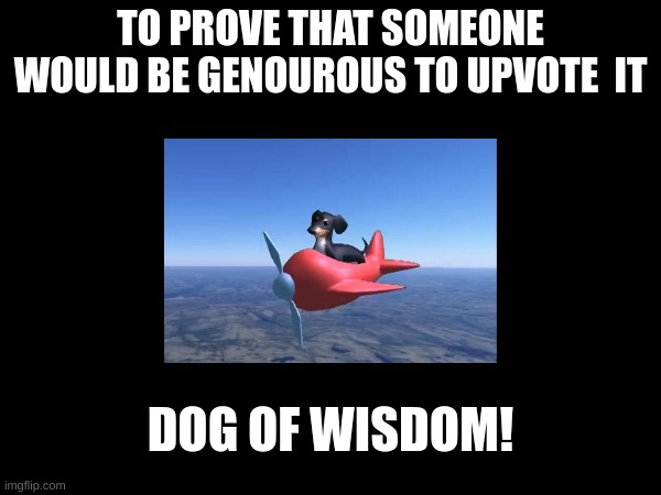 And NO this is not upvote begging | TO PROVE THAT SOMEONE WOULD BE GENOUROUS TO UPVOTE  IT; DOG OF WISDOM! | image tagged in memes,funny,dogs | made w/ Imgflip meme maker
