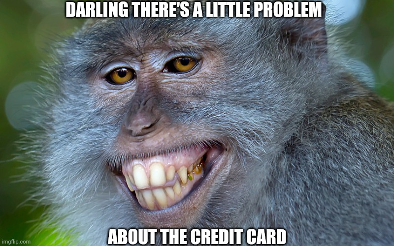 funny animals | DARLING THERE'S A LITTLE PROBLEM; ABOUT THE CREDIT CARD | image tagged in funny animals | made w/ Imgflip meme maker