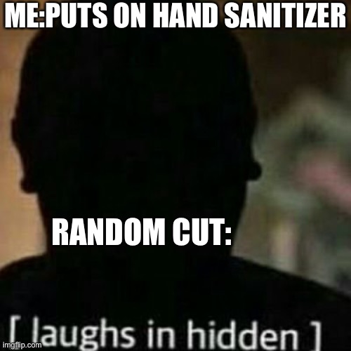 Happens every time | ME:PUTS ON HAND SANITIZER; RANDOM CUT: | image tagged in laughs in hidden,hand sanitizer,pain | made w/ Imgflip meme maker