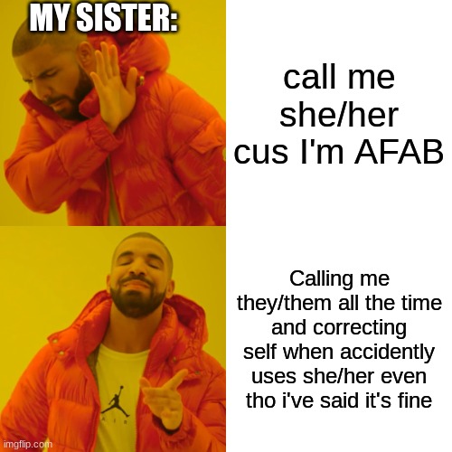 Drake Hotline Bling | MY SISTER:; call me she/her cus I'm AFAB; Calling me they/them all the time and correcting self when accidently uses she/her even tho i've said it's fine | image tagged in memes,drake hotline bling | made w/ Imgflip meme maker