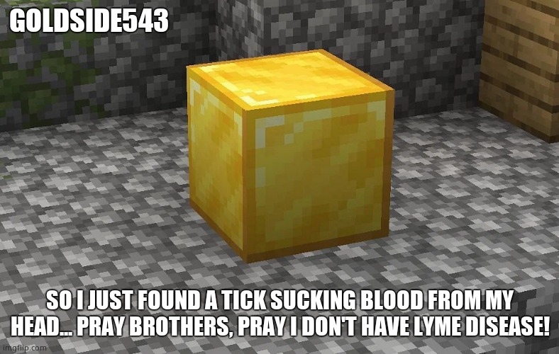 Can I post this here or not? | GOLDSIDE543; SO I JUST FOUND A TICK SUCKING BLOOD FROM MY HEAD... PRAY BROTHERS, PRAY I DON'T HAVE LYME DISEASE! | image tagged in gold | made w/ Imgflip meme maker