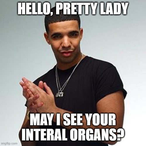 drake | HELLO, PRETTY LADY MAY I SEE YOUR INTERAL ORGANS? | image tagged in drake | made w/ Imgflip meme maker