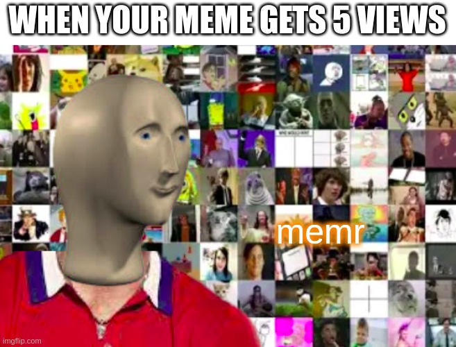 memr | WHEN YOUR MEME GETS 5 VIEWS; memr | image tagged in memr,memes | made w/ Imgflip meme maker