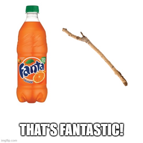 funi | THAT'S FANTASTIC! | image tagged in fanta,stick | made w/ Imgflip meme maker