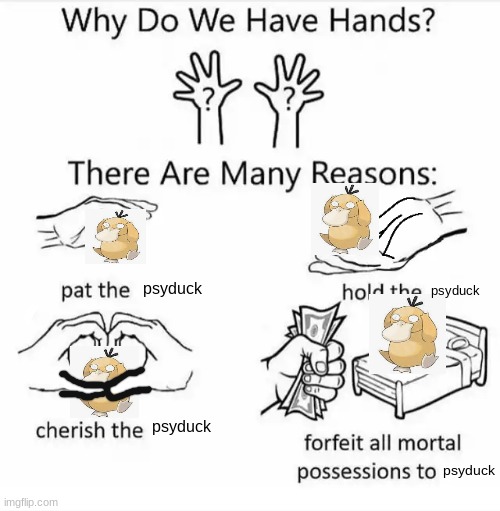 Why do we have hands? (all blank) | psyduck; psyduck; psyduck; psyduck | image tagged in why do we have hands all blank | made w/ Imgflip meme maker