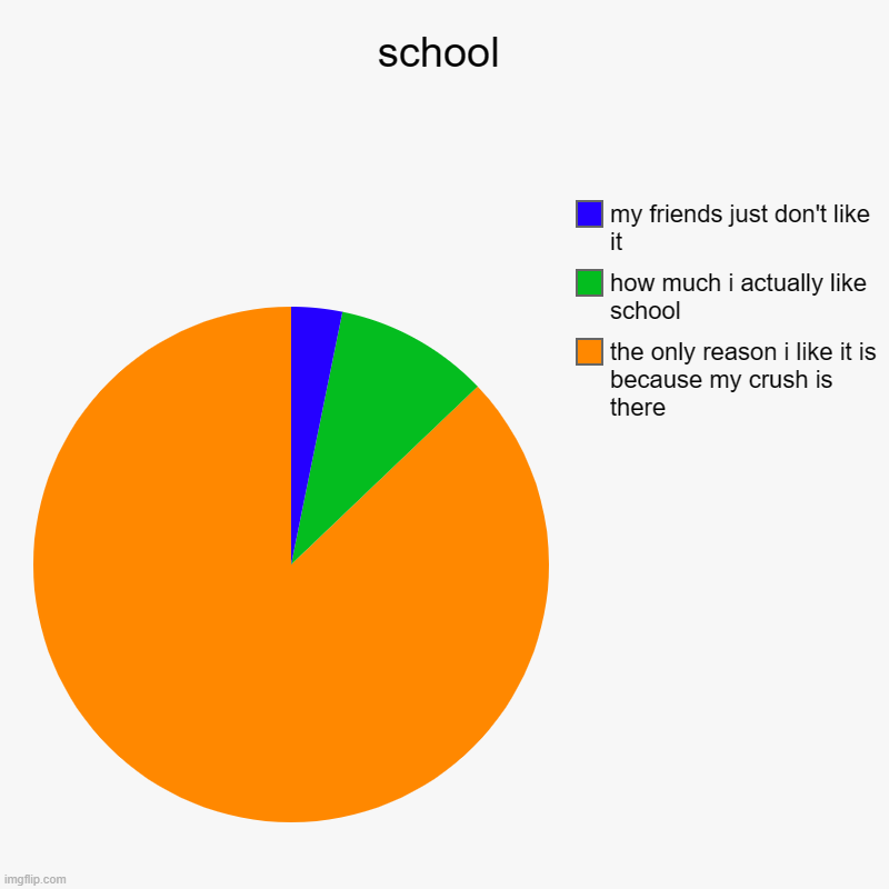 school | the only reason i like it is because my crush is there, how much i actually like school, my friends just don't like it | image tagged in charts,pie charts | made w/ Imgflip chart maker