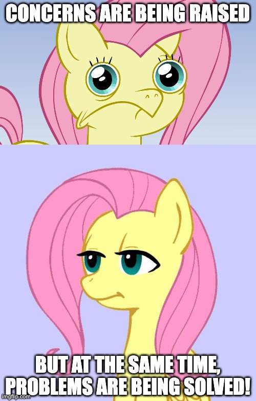 CONCERNS ARE BEING RAISED BUT AT THE SAME TIME, PROBLEMS ARE BEING SOLVED! | image tagged in uncomfortable fluttershy,tired of your crap | made w/ Imgflip meme maker