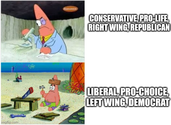 Patrick Smart Dumb | CONSERVATIVE, PRO-LIFE, RIGHT WING, REPUBLICAN; LIBERAL, PRO-CHOICE, LEFT WING, DEMOCRAT | image tagged in patrick smart dumb | made w/ Imgflip meme maker