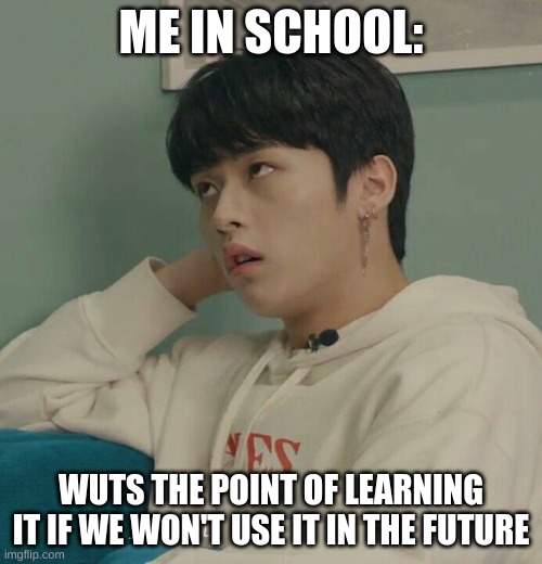 Lee Know :3 | ME IN SCHOOL:; WUTS THE POINT OF LEARNING IT IF WE WON'T USE IT IN THE FUTURE | image tagged in straykids meme | made w/ Imgflip meme maker