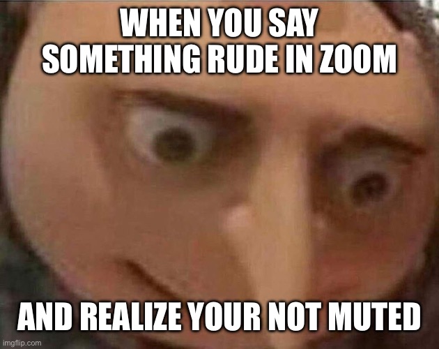 gru meme | WHEN YOU SAY SOMETHING RUDE IN ZOOM; AND REALIZE YOUR NOT MUTED | image tagged in gru meme | made w/ Imgflip meme maker