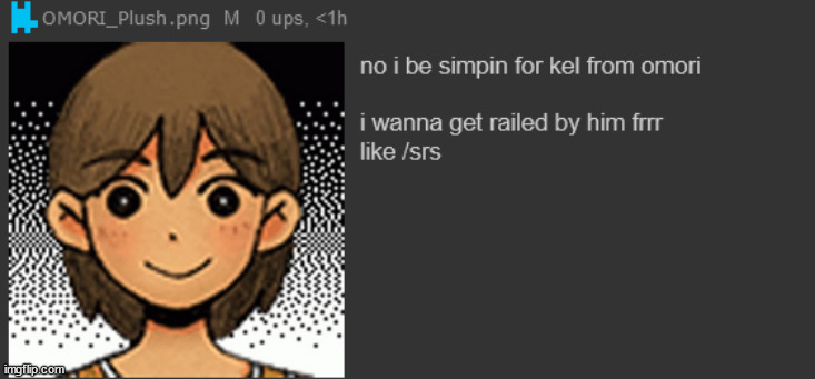made w/ Imgflip meme maker